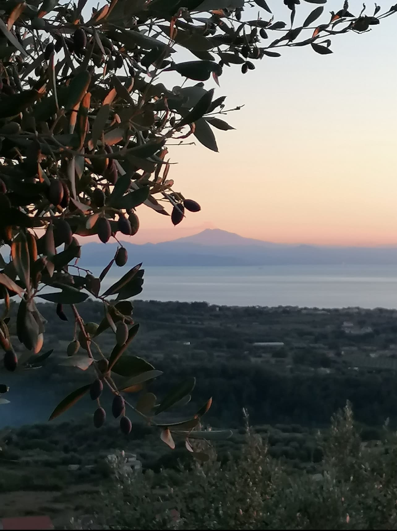 Dalla terra all’olio OLEIFICIO ROSSSI